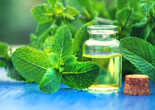 Utilisation et bienfaits de l'huile essentielle de menthe poivrée